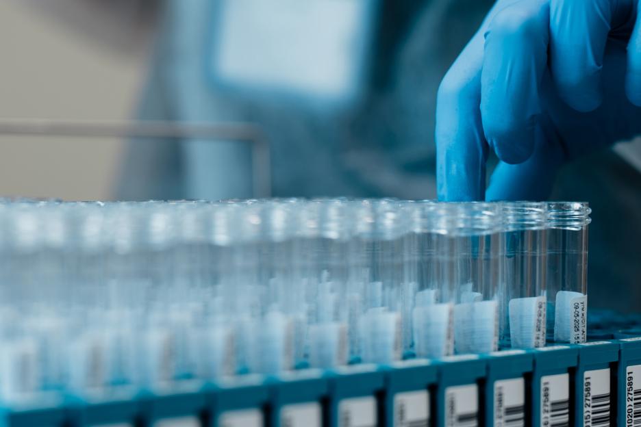 A genetic window on ‘All of Us’