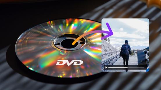 Rip DVD to Digital: A Step-by-Step Guide
