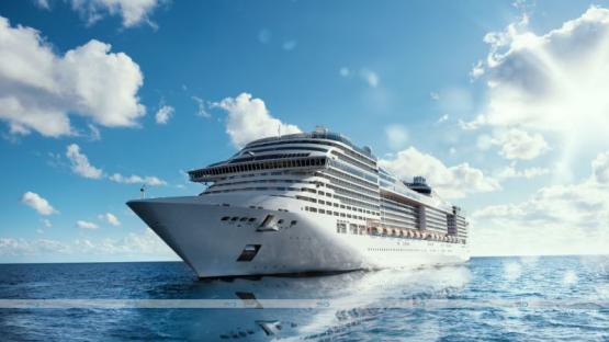 Unforgettable Wrangell Cruise Ship Tours: Witness Alaska’s Wildlife Up Close