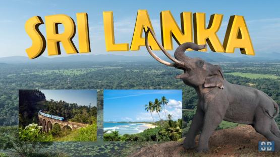 Best Tour Packages in Sri Lanka for Nature & Culture Lovers 