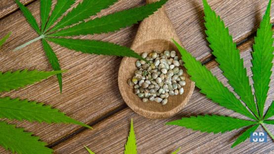 How Can CBD Supplements Help Relieve Skin Irritations in Dogs