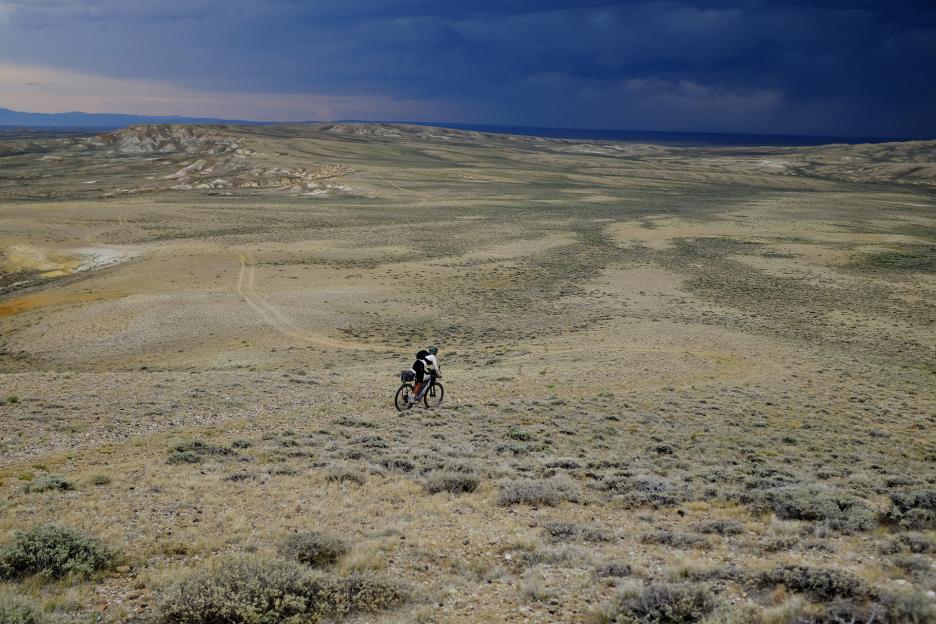 Part grueling race, part field study