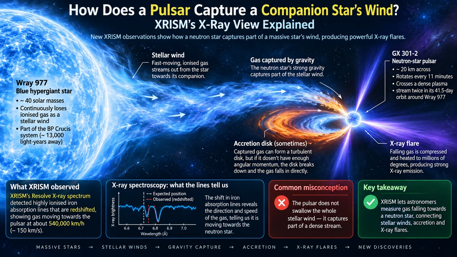 How Does a Pulsar Capture a Companion Star’s Wind? XRISM’s X-Ray View Explained