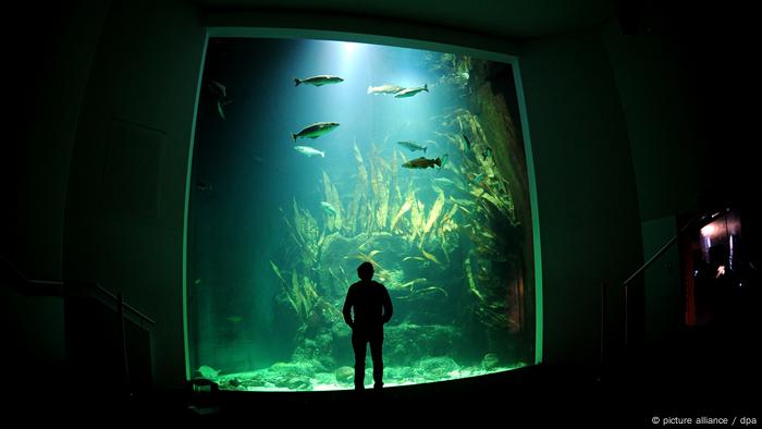 Ten reasons for the Wadden Sea