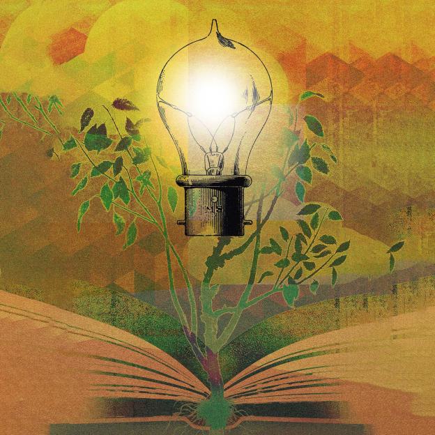 Illustration of tree growing out of open book with lightbulb.