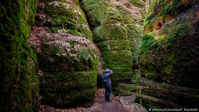 Ten reasons for the Thuringian Forest