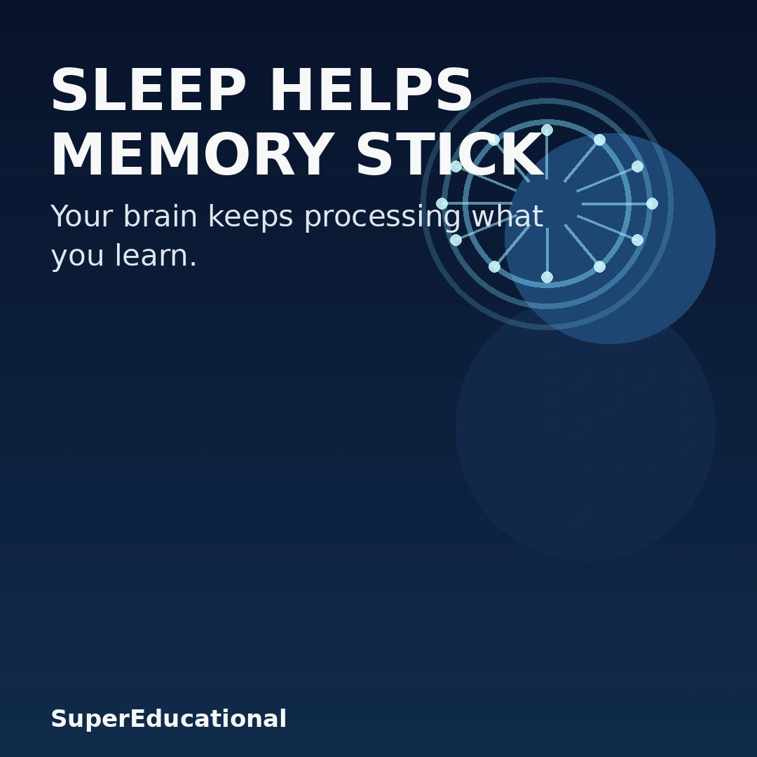 Why Sleep Is an Important Part of Learning