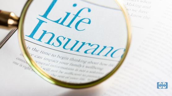 “Whole Life Plan vs. Term Life: Key Differences, Pros & Cons Explained” 