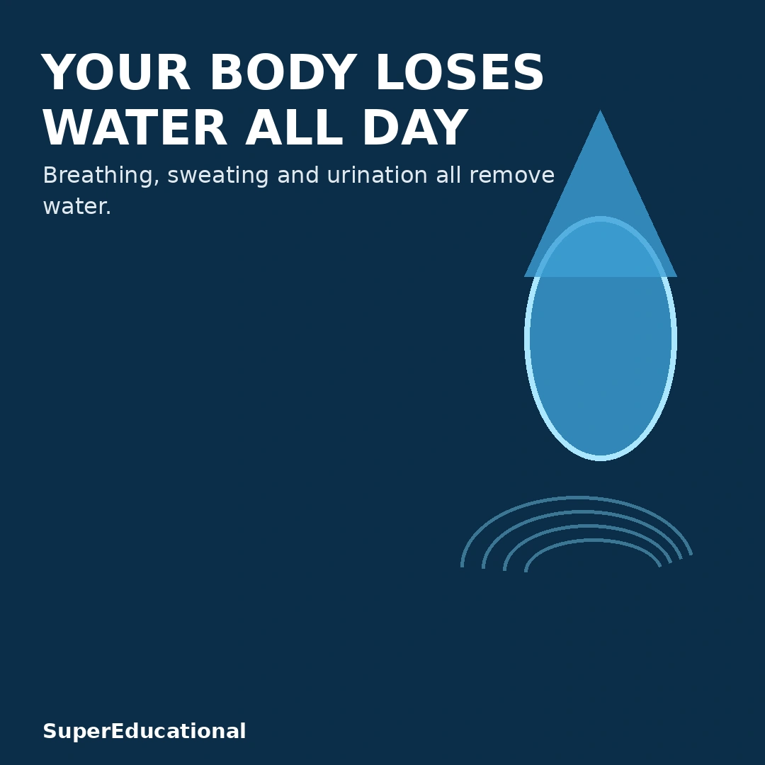 Your Body Loses Water Even While Breathing