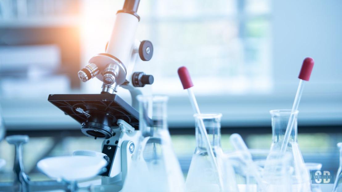 Don’t Miss These Medical Test Tips Before Applying for Term Insurance